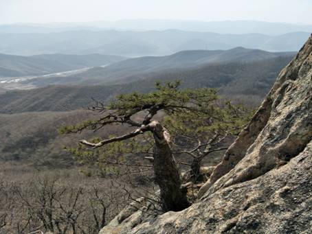 ˵: IMG20170403125320